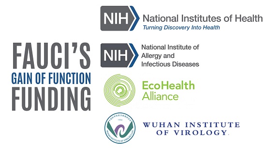 Fauci & NIH Gain-of-Function Funding